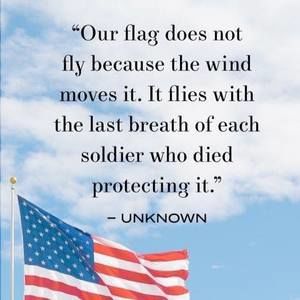 Meet your Posher, Cyncha